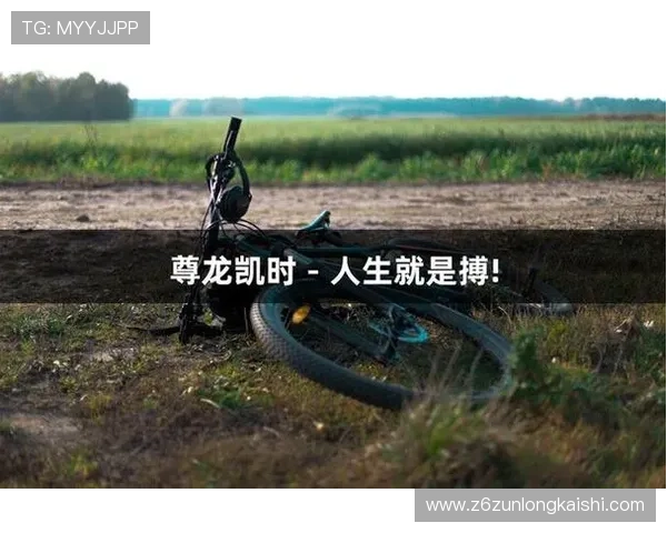 尊龙凯时中国：平台特色功能介绍及提升游戏娱乐体验的实用建议